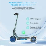 RCB R19 Trottinette électrique Adulte Pliable 10" APP, 400W, 35KM,Batterie 36V 10.4 Ah – Image 6