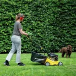 Tondeuse à gazon thermique - POWERPLUS - POWEG60219 - 390 mm Ø - 132 cc - Sans fil - Avec ramassage et éjection arrière – Image 3