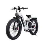 Vélo électrique RZOGUWEX S9, batterie 48 V 25 Ah, moteur 1000 W, pneus 26 pouces, autonomie 40-60 km, charge maximale 200 kg – Noir et blanc