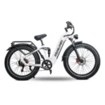 Vélo électrique RZOGUWEX S9, batterie 48 V 25 Ah, moteur 1000 W, pneus 26 pouces, autonomie 40-60 km, charge maximale 200 kg – Noir et blanc – Image 3