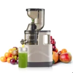 Extracteur de jus 500W Centrifugeuse Fruits et Légumes avec Goulotte d'Alimentation de 8 cm, double filtre, presse à froid pour