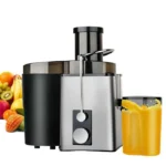 Extracteur de jus 800W - Centrifugeuse de fruits à 2 vitesses - machine à fruits- bouche 70mm, jarre à jus de 600 ml - Noir
