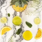 Extracteur de jus - HKOENIG - GSX16 - 250 W - 0,8 L - Noir – Image 2