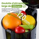 Extracteur de jus - VENTRAY - Ventray Max 120 Cold Press - 250W - Goulotte 120mm - Noir – Image 6