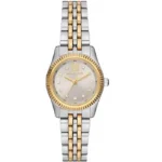 Montre Femme - MICHAEL KORS - MK4815 - Acier Inoxydable - 5 ATM - Quartz